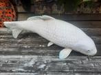 Koikarper van kunststof LXBXH = 68x25x27cm (nette staat), Dieren en Toebehoren, Vissen | Vijvervissen, Karper of Koi