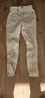 Paardrijbroek Pikeur, Ophalen of Verzenden, Gebruikt, Overige soorten, Onderkleding