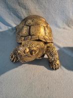 Nieuwe decoratie gouden schildpad (groot), Ophalen