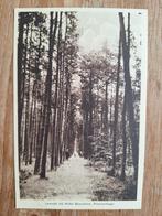 ansichtkaart Breda Liesbosch laantje Hotel Boschhek Princenh, Ophalen of Verzenden, 1920 tot 1940, Ongelopen, Noord-Brabant