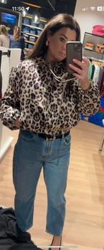Colourful rebel l/xl leopard bomber nieuw, Kleding | Dames, Jassen | Winter, Ophalen of Verzenden, Zo goed als nieuw, Maat 46/48 (XL) of groter