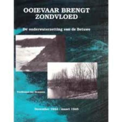Ooievaar brengt zondvloed Ferdinand van Hemmen, Boeken, Oorlog en Militair, Zo goed als nieuw, Ophalen of Verzenden