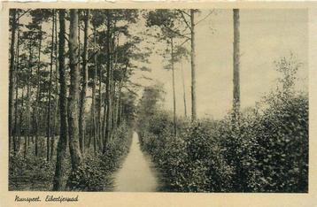(387-138-005) Nunspeet Eibertjespad beschikbaar voor biedingen