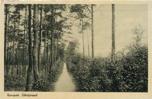 (387-138-005) Nunspeet Eibertjespad, Verzamelen, Ansichtkaarten | Nederland, Gelderland, Verzenden