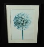 Ikea Ribba, Minder dan 50 cm, Gebruikt, Ophalen of Verzenden, Foto of Poster