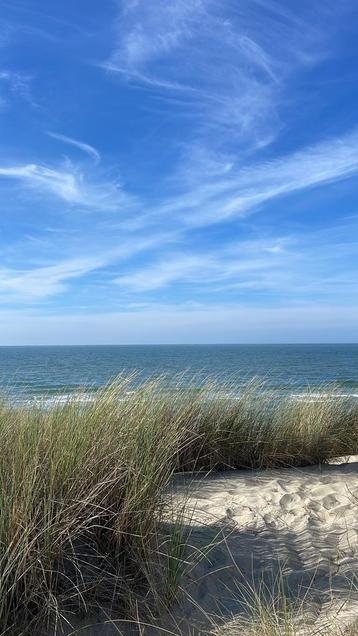 Cap d’agde Naturistendorp, Contacten en Berichten