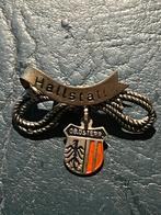 BROCHE HALLSTATT WAPEN BOVEN OOSTENRIJK KLIMTOUW (A6), Verzenden, Zo goed als nieuw, Overige onderwerpen