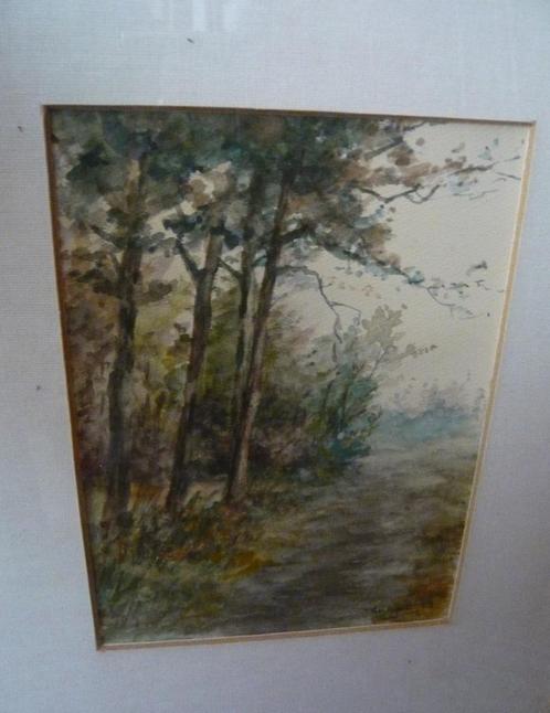 aquarel bos landschap Ton Pape 28x35cm (12x17) S2, Antiek en Kunst, Kunst | Schilderijen | Klassiek, Ophalen of Verzenden