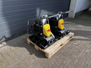 Wacker Neuson Trilplaat BPS2050 beschikbaar voor biedingen