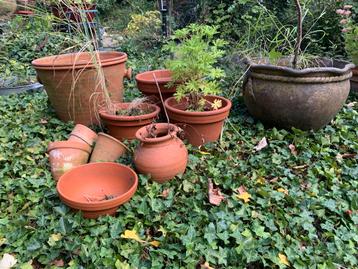 Terra Cotta Bloempotten Set beschikbaar voor biedingen