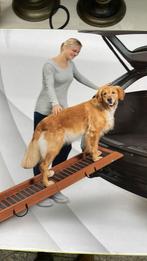 Hondenloopplank, opklapbaar. In doos., Dieren en Toebehoren, Ophalen of Verzenden, Nieuw