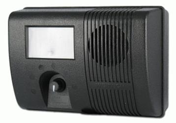 Hond en Kat uit de tuin. beschikbaar voor biedingen