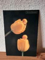 Anne Geddes Ansichtkaart Kaart Gele Tulpen, Ophalen of Verzenden, 1980 tot heden, Ongelopen, Kinderen