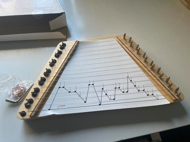 Xylofoon voor kinderen - Nieuw!, Muziek en Instrumenten, Snaarinstrumenten | Overige, Nieuw, Overige typen, Ophalen of Verzenden