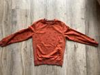 Roestbruine sweater met leuk printje (146), Gebruikt, WE, Jongen of Meisje, Trui of Vest