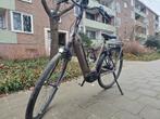 Gazelle Grenoble c7 + elite met oplader., 51 tot 55 cm, Ophalen of Verzenden, Zo goed als nieuw, Gazelle