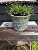 Stoere stenen bloempot, Tuin en Terras, Steen, Minder dan 30 cm, Rond, Ophalen of Verzenden