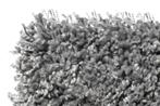 Vloerkleed-Saba-hoogpool-165 cm x 225 cm, 200 cm of meer, Nieuw, 150 tot 200 cm, Rechthoekig