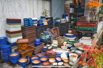 Bonsai schalen en toebehoren | Zie advertenties beschikbaar voor biedingen