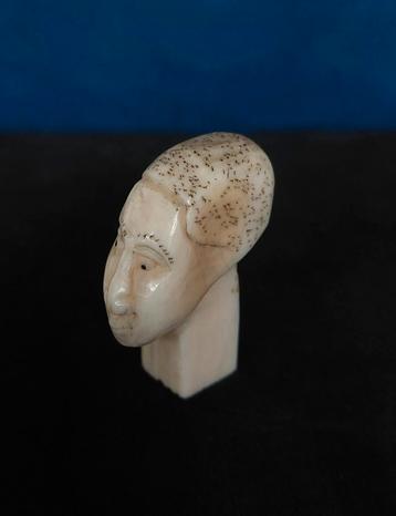 Afrikaans Hoofdje beschikbaar voor biedingen