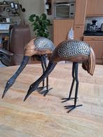 Reigers, Ophalen of Verzenden