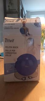 Exercise ball, Ophalen of Verzenden, Zo goed als nieuw, Fitnessbal