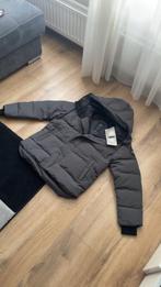 Canada Goose Jas Grijs Maat M/L Nieuw, Ophalen of Verzenden, Nieuw, Maat 48/50 (M), Grijs