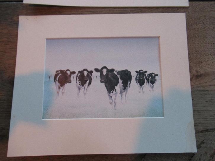 Wiebe van der Zee  koeienschilderijtjes/tekeningen, Huis en Inrichting, Overige Huis en Inrichting, Ophalen of Verzenden