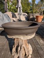 Bonsai pot 42x33x10, ., Nieuw, Ophalen of Verzenden, Minder dan 25 cm