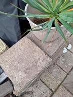 Tuintegels 30x30 - Terrastegels 50 stuks, Tuin en Terras, Tegels en Klinkers, Ophalen, Gebruikt, Beton, Terrastegels
