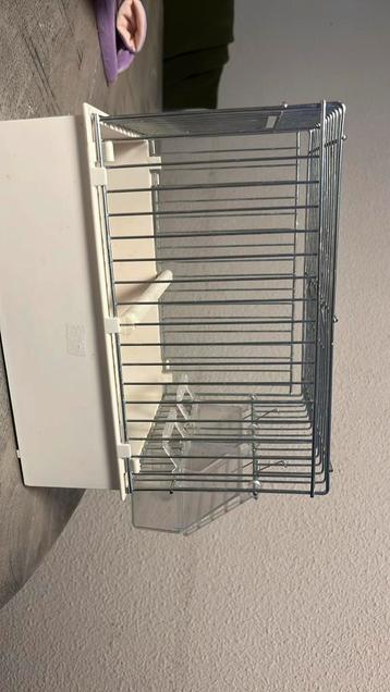 Reiskooi vogels beschikbaar voor biedingen