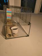 Glazen hamsterkooi, Dieren en Toebehoren, Knaagdieren en Konijnen | Hokken en Kooien, Ophalen, Minder dan 75 cm, Kooi, Minder dan 60 cm