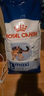 Royale canin L maxi, Dieren en Toebehoren, Ophalen, Hond