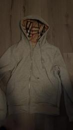 Burberry vestje, Kleding | Heren, Truien en Vesten, Ophalen of Verzenden, Zo goed als nieuw, Grijs, Burberry