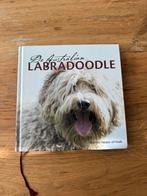 De Australian labradoodle, Ophalen of Verzenden, Zo goed als nieuw