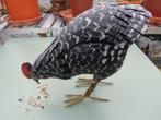 Heavy Metal Chicken, Antiek en Kunst, Ophalen of Verzenden