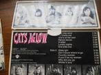 lp pop cats aglow vinyl record album+poster, Cd's en Dvd's, Vinyl | Pop, Ophalen of Verzenden, 1960 tot 1980, Gebruikt, 12 inch