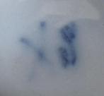 Nr L190: 1 Saksisch blauw porseleinen peper- en zoutbakje, Antiek en Kunst, Antiek | Servies los, Ophalen of Verzenden