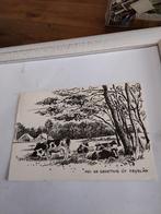 MEI DE GROETNIS UT FRYSLAN. 1978, Ophalen of Verzenden, 1960 tot 1980, Friesland