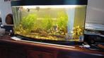 Juwel aquarium, Dieren en Toebehoren, Vissen | Aquaria en Toebehoren, Ophalen, Gebruikt