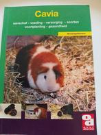 De cavia, Boeken, Ophalen of Verzenden, Zo goed als nieuw