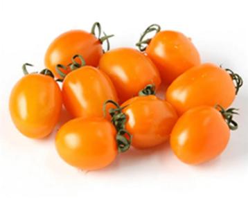 Tomaat Mille Fleur beschikbaar voor biedingen