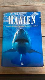 A. Mojetta - Haaien, Ophalen of Verzenden, Zo goed als nieuw, Paarden of Pony's, A. Mojetta