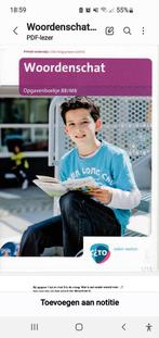 Woordenschat oefeningen gr.8, Ophalen of Verzenden, Overige niveaus, Nederlands