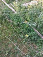 Gratis gaas voor oud ijzer, Tuin en Terras, Ophalen, 20 meter of meer, Gaas
