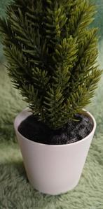 Poppenhuis plantje den in een witte pot, Ophalen of Verzenden, Poppenhuis