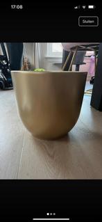 Medium plantenbak bloempot goud voor binnen, Tuin en Terras, Bloempotten, Rond, Binnen, Ophalen of Verzenden, Zo goed als nieuw