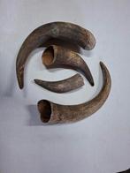 Set van 4 diverse hoorns, Ophalen of Verzenden