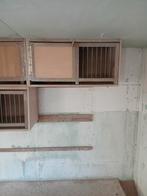 Broedbakken, Dieren en Toebehoren, Meerdere dieren, Postduif