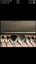 Theelepeltjes antiek, Antiek en Kunst, Antiek | Bestek, Ophalen